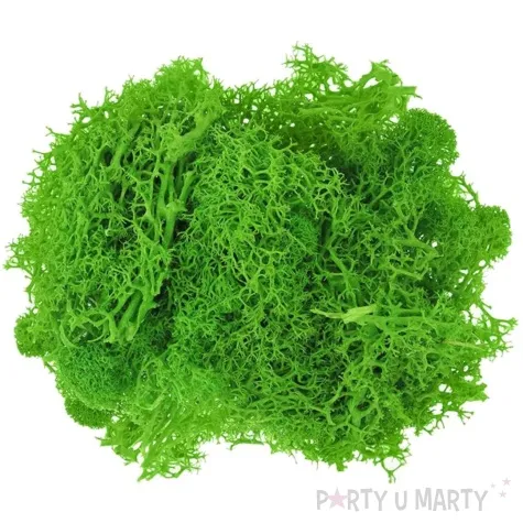 mech chrobotek reniferowy zielony titanum 20 g