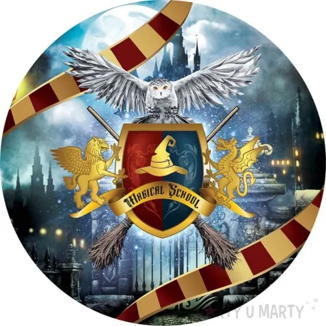 miska magiczna szkola guirca 27x9 cm