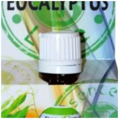 olejek zapachowy essences of life eukaliptus ravi 10 ml