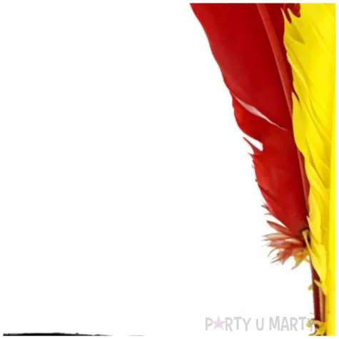 opaska party indianka z piorami elastyczna mix party tino