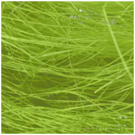 ozdoba sizal sianko zielony arpex 20g