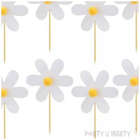 pikery stokrotka ginger ray 9 cm 12 szt