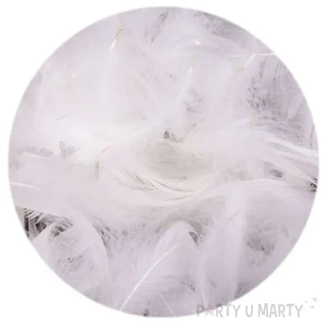 piorka dekoracyjne biale woreczek