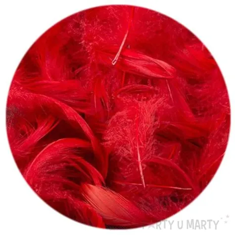 piorka dekoracyjne bordowe woreczek