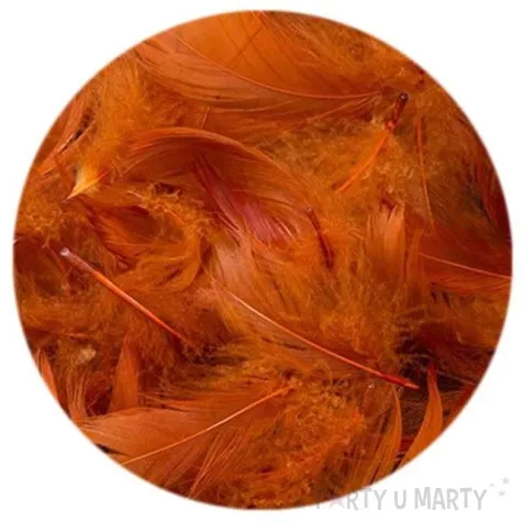 piorka dekoracyjne brazowe woreczek