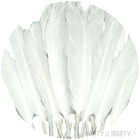 piorka dekoracyjne classic biale aliga 15 cm 40 szt