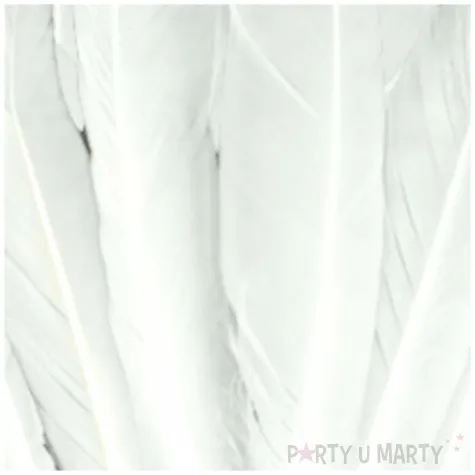 piorka dekoracyjne classic biale aliga 15 cm 40 szt