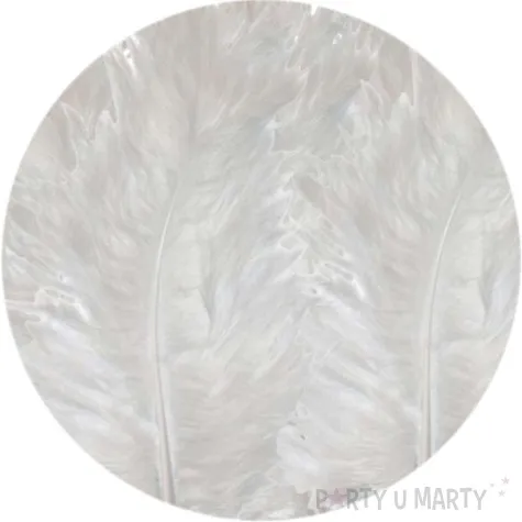 piorka dekoracyjne classic biale titanum 50 szt