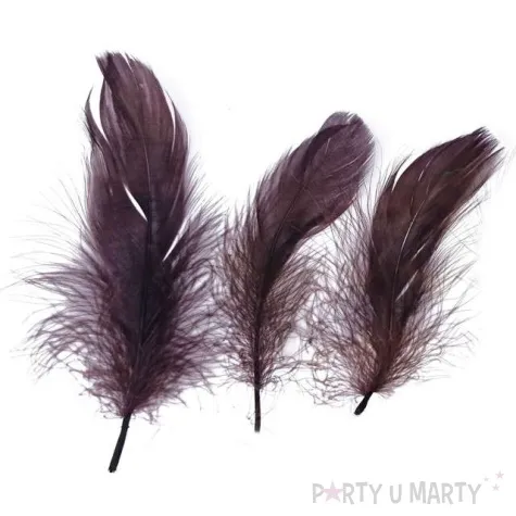 piorka dekoracyjne classic brazowe titanum 16 g