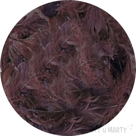 piorka dekoracyjne classic brazowe titanum 16 g