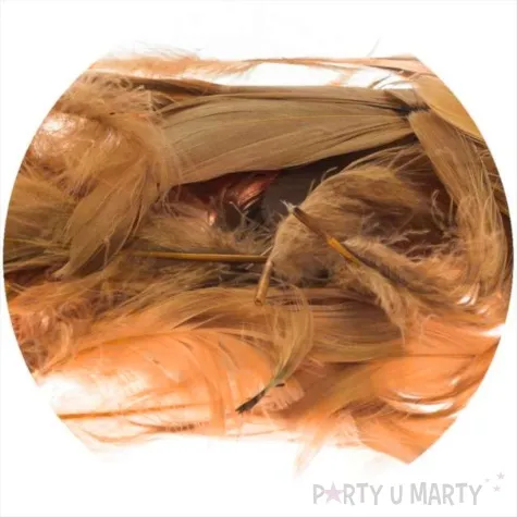 piorka dekoracyjne classic brazowy brewis 1 9 cm 250 szt