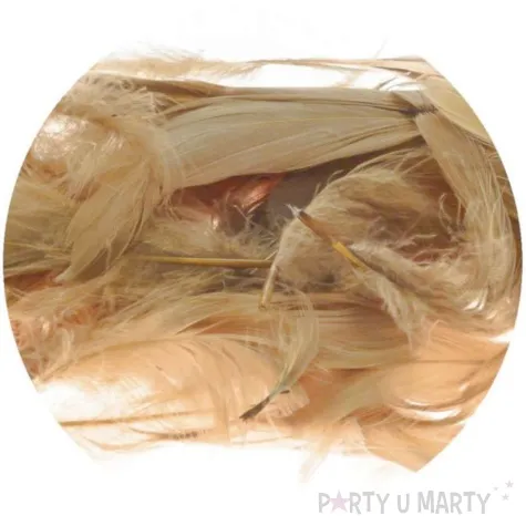 piorka dekoracyjne classic brazowy jasny brewis 1 9 cm 250 szt