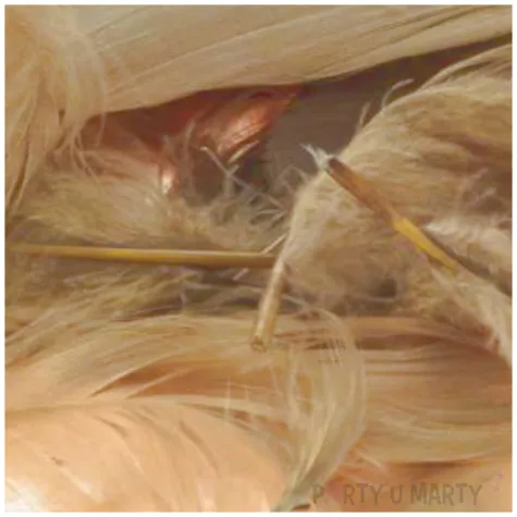 piorka dekoracyjne classic brazowy jasny brewis 1 9 cm 250 szt