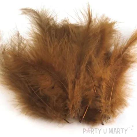 piorka dekoracyjne classic brazowy stoklasa 9 16 cm 20 szt