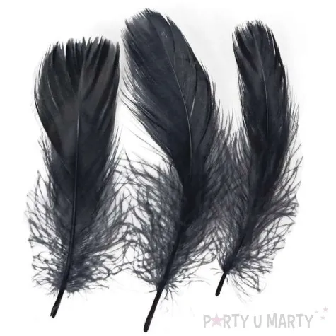 piorka dekoracyjne classic czarne titanum 16 g