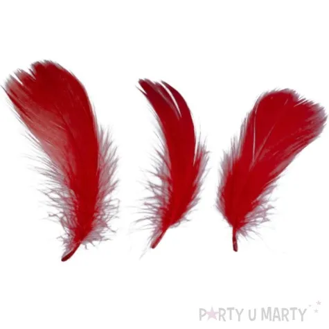 piorka dekoracyjne classic czerwone titanum 16 g