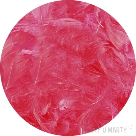 piorka dekoracyjne classic czerwone titanum 16 g