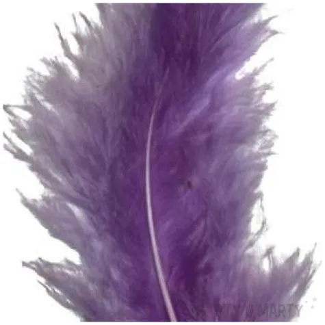 piorka dekoracyjne classic geste fioletowe titanum 20 szt