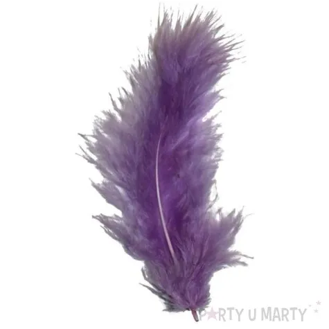 piorka dekoracyjne classic geste fioletowe titanum 20 szt