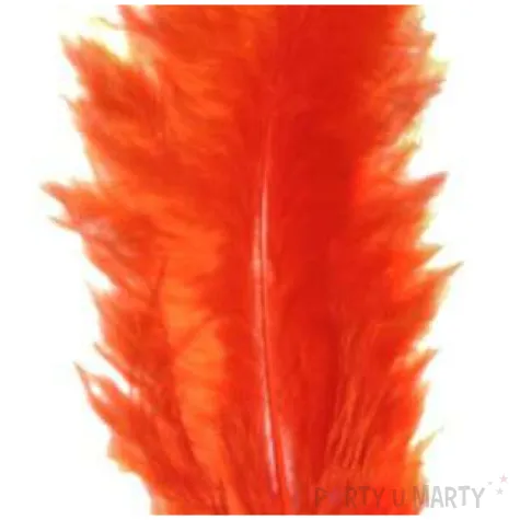 piorka dekoracyjne classic geste pomaranczowe titanum 20 szt