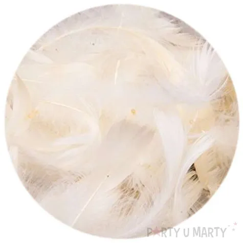 piorka dekoracyjne classic kremowy dekolo 10g