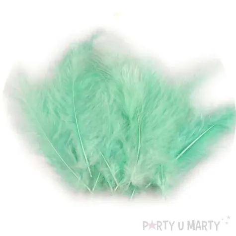 piorka dekoracyjne classic mietowy stoklasa 9 16 cm 20 szt