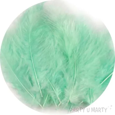 piorka dekoracyjne classic mietowy stoklasa 9 16 cm 20 szt