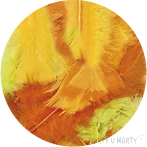 piorka dekoracyjne classic mix 2 titanum 8 g