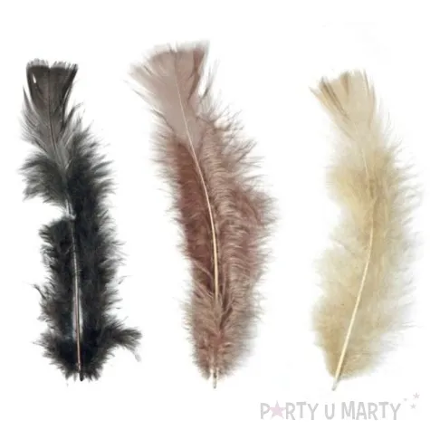 piorka dekoracyjne classic mix brazowy titanum 8 g