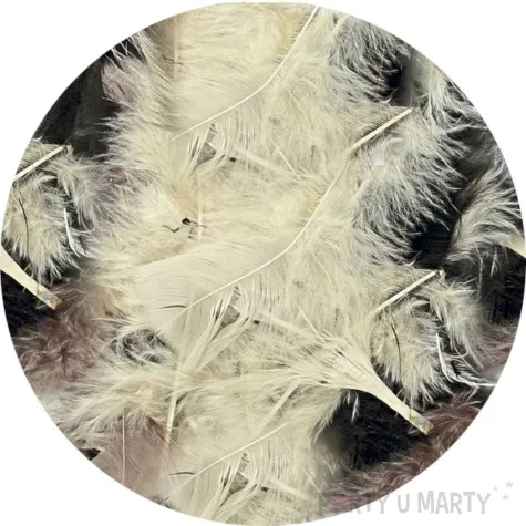 piorka dekoracyjne classic mix brazowy titanum 8 g