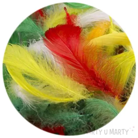 piorka dekoracyjne classic mix dekolo 10g