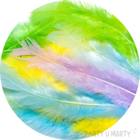 piorka dekoracyjne classic mix pastelowy brewis 4 10 cm 50 szt