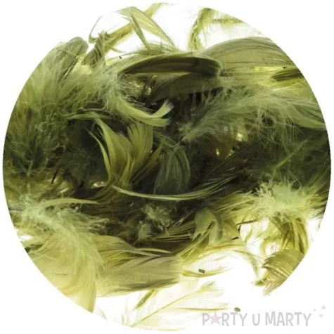 piorka dekoracyjne classic oliwkowy brewis 1 9 cm 250 szt