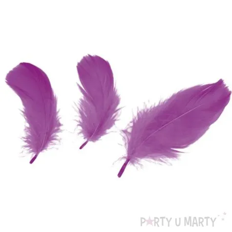 piorka dekoracyjne classic rozowe ciemne titanum 16 g