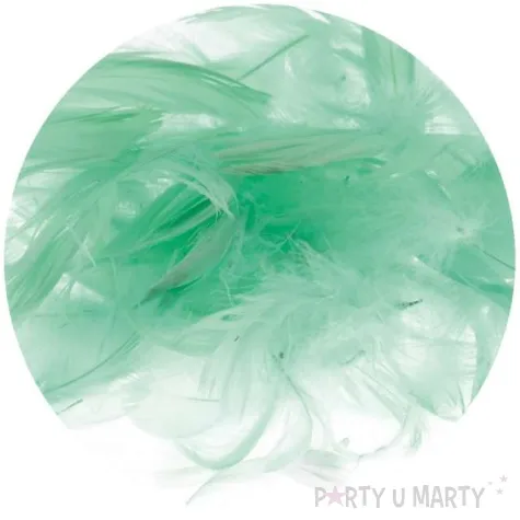 piorka dekoracyjne classic seledynowy brewis 1 9 cm 250 szt