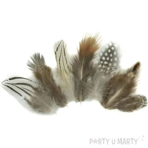 piorka dekoracyjne classic szaro brazowe aliga 3 8 cm 24 szt