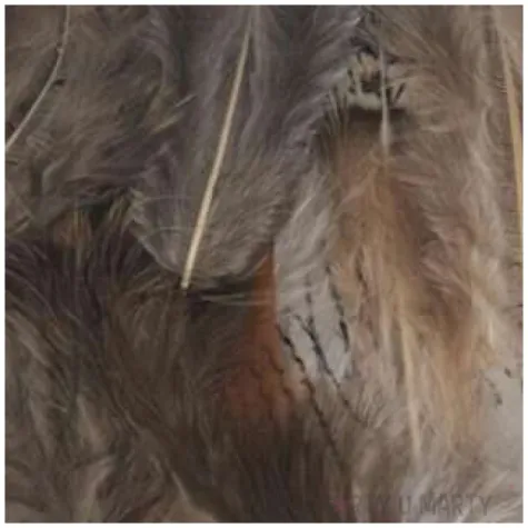 piorka dekoracyjne classic szaro brazowe aliga 3 8 cm 24 szt