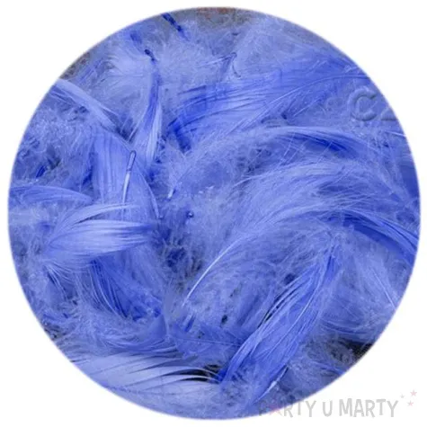 piorka dekoracyjne classic wrzosowy dekolo 10g