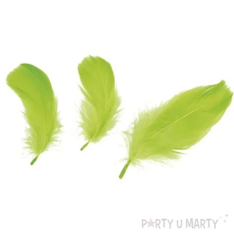 piorka dekoracyjne classic zielone jabluszko titanum 16 g