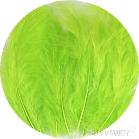 piorka dekoracyjne classic zielony neonowy stoklasa 9 16 cm 20 szt