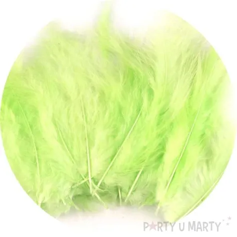 piorka dekoracyjne classic zielony pastelowy stoklasa 9 16 cm 20 szt