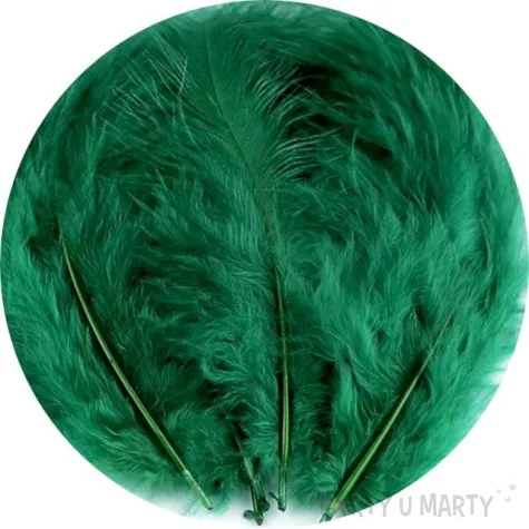 piorka dekoracyjne classic zielony stoklasa 9 16 cm 20 szt