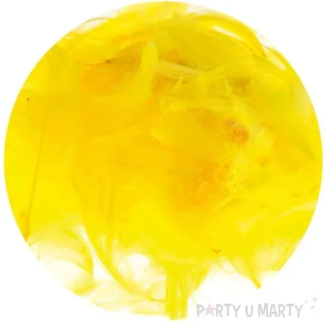 piorka dekoracyjne classic zolty brewis 1 9 cm 250 szt