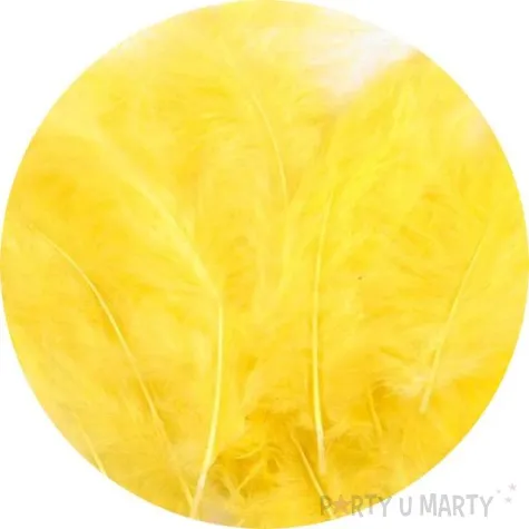 piorka dekoracyjne classic zolty stoklasa 9 16 cm 20 szt