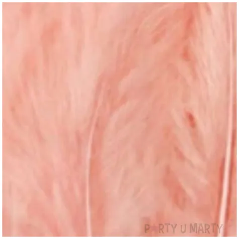 piorka dekoracyjne dlugie brzoskwiniowe partypal 10 15 cm 50 szt