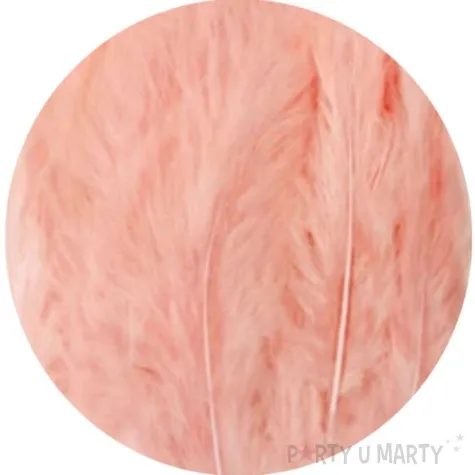 piorka dekoracyjne dlugie brzoskwiniowe partypal 10 15 cm 50 szt