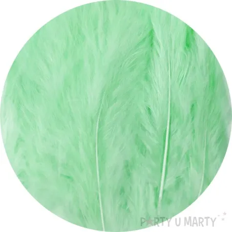 piorka dekoracyjne dlugie seledynowe partypal 10 15 cm 50 szt
