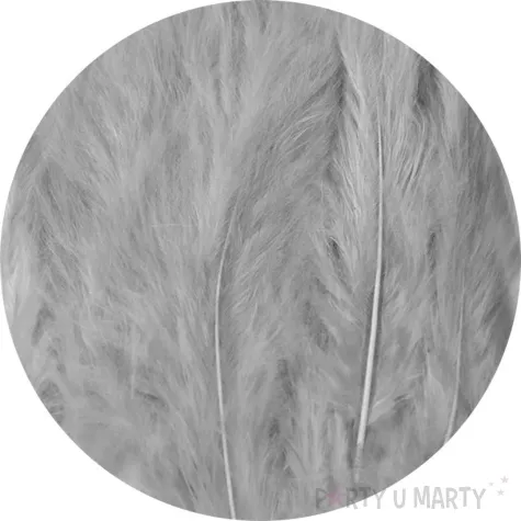 piorka dekoracyjne dlugie szare partypal 10 12 cm 50 szt