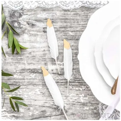 piorka dekoracyjne dwukolorowe biale partydeco 6 szt