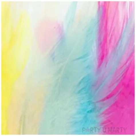 piorka dekoracyjne ekspresywne mix aliga 8 12 cm 40 szt